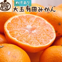 【ふるさと納税】＜2024年11月より発送＞家庭用 大きな有田みかん10kg+300g（傷み補償分）【わけあり・訳あり】【光センサー選果】 ※北