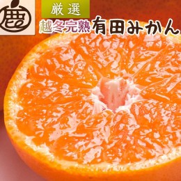 【ふるさと納税】＜2025年1月より発送＞厳選 越冬完熟みかん5kg+150g（傷み補償分）【ハウスみかん】【光センサー選果】 ※北海道・沖縄