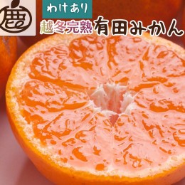 【ふるさと納税】＜2025年1月より発送＞家庭用 越冬完熟みかん5kg+150g（傷み補償分）【ハウスみかん】【わけあり・訳あり】【光センサー