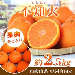 【ふるさと納税】紀州有田産不知火(しらぬひ) 2.5kg ※2025年2月中旬〜3月中旬頃に順次発送予定