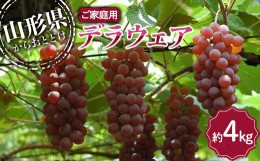 【ふるさと納税】【令和6年産先行予約】 〈訳あり品 家庭用〉 デラウェア 約4kg (18〜32房) 《令和6年8月上旬〜発送》 『沼沢農園』  デ