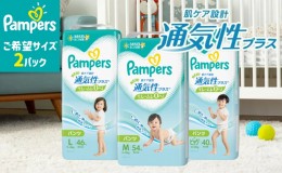 【ふるさと納税】パンパース 通気性プラス パンツ タイプ 2パック[ Pampers おむつ オムツ ]