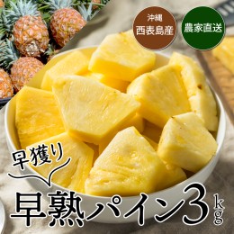 【ふるさと納税】【2024年発送】南国の香り！ 早穫り完熟パイン 約3kg (3〜5玉)