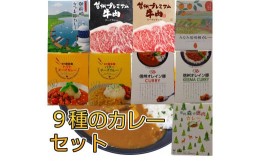 【ふるさと納税】南信州仕立て9種のカレーセット