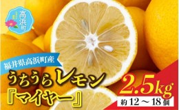 【ふるさと納税】【先行予約】日本海で育ったうちうらレモン「マイヤー2.5kg」皮まで丸ごと食べられます！【11月中旬より順次発送】