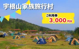 【ふるさと納税】[?5311-1041]宇根山家族旅行村（キャンプ場） 宇根山天文台 ご利用券 3,000円分 キャンプ 宿泊 バーベキュー 星空 広島