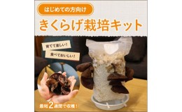 【ふるさと納税】1607 おうちでかんたん！純国産きくらげ栽培セット