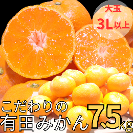 【ふるさと納税】【農家直送】有田みかん 約8kg 大玉3L以上 有機質肥料100% ※2024年12月初旬〜1月中旬に順次発送(お届け日指定不可)/み