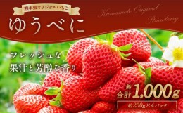 【ふるさと納税】熊本産 ゆうべに 250g×4パック 計1kg【2025年2月上旬〜2月下旬発送予定】