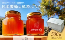 【ふるさと納税】日本蜜蜂の純粋はちみつ 500g （250g×2個）　ハチミツ 純粋はちみつ 百花はちみつ 日本蜜蜂 化粧箱 ギフト  西条ブルー