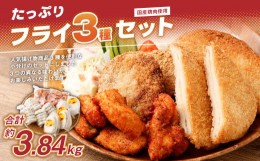 【ふるさと納税】＜国産鶏肉使用 フライ3種セット＞2か月以内に順次出荷 計約3.84kg 計10パック チーズインチキンフライ ネギみそメンチ