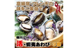 【ふるさと納税】▼極上！紀州蝦夷鮑×3個　五つ星旅館にも出荷される極上アワビ＜日付指定OK＞※北海道・沖縄・離島配送不可 【riz215-p