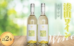 【ふるさと納税】果樹園生まれの 「漆山ワイン (白ワイン)」 2本セット 750ml×2本 『漆山果樹園』 山形県 南陽市 [2078]