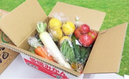 【ふるさと納税】取りたて新鮮！旬の野菜詰め合わせセット