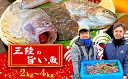 【ふるさと納税】「下処理なし」【産地直送】三陸旨し！季節の鮮魚便 2〜3人前