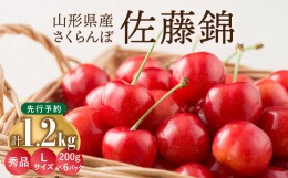 【ふるさと納税】≪先行予約≫さくらんぼ 佐藤錦 1.2kg (200g×6) 秀品 Lサイズ【2024年6月中旬頃〜発送予定】【山形県産さくらんぼ】 【