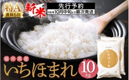 【ふるさと納税】【新米・先行予約】特A通算6回！お米 いちほまれ 10kg 令和6年 福井県産【米 10キロ 精米 白米】【令和6年10月中旬より