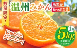 【ふるさと納税】【先行予約】 温州みかん 5kg フルーツ みかん 長崎市/きんかい味彩市 [LIF006]