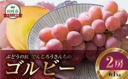 【ふるさと納税】【先行予約】 ゴルビー 1kg 2房 冷蔵 高級 種無し 種なし ブドウ ぶどう シャインマスカット 巨峰 品種 果物 甘さ 大粒 