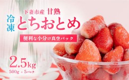 【ふるさと納税】【訳あり】 冷凍いちご 2.5kg (500g x 5) 甘熟 完熟【凍眠冷凍】下妻市内のいちご生産者Ben’s Berry 【いちご イチゴ 