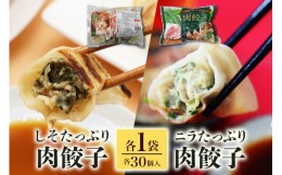 【ふるさと納税】ニラたっぷり肉餃子・しそたっぷり肉餃子 各1袋 ぎょうざ ギョウザ 餃子 ニラたっぷり肉餃子30個 しそたっぷり肉餃子30