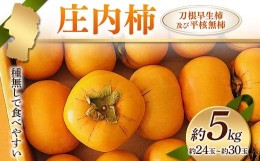 【ふるさと納税】《先行予約 2024年度発送》庄内柿 種無しで食べやすい 刀根早生柿及び平核無柿 約5kg 約24玉〜約30玉 FSY-1237