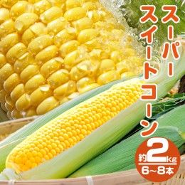 【ふるさと納税】先行予約≪期間限定≫スーパースイートコーン(約2kg)お試し用 とうもろこし 野菜 国産_T003-003