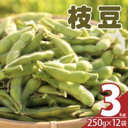 【ふるさと納税】先行予約≪期間限定≫枝豆(茶豆風味・茶豆)3kg 野菜 旬 国産_T003-006