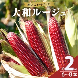 【ふるさと納税】先行予約≪期間限定≫赤いスイートコーン大和ルージュ(約2kg) とうもろこし 野菜 国産_T003-007