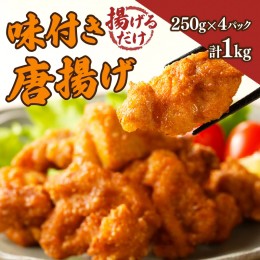 【ふるさと納税】揚げるだけ!!味付き唐揚げ(計1kg) 鶏 鶏肉 チキン 国産_T006-001