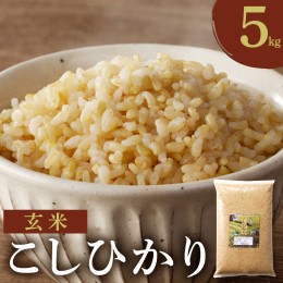 【ふるさと納税】先行予約≪都農町産≫新米コシヒカリ(玄米)5kg 米 お米 ご飯 国産_T031-003