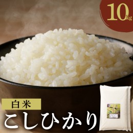 【ふるさと納税】先行予約≪都農町産≫新米コシヒカリ(計10kg) 米 お米 ご飯 国産_T031-002