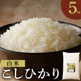 【ふるさと納税】先行予約≪都農町産≫新米コシヒカリ(5kg) 米 お米 ご飯 国産_T031-001