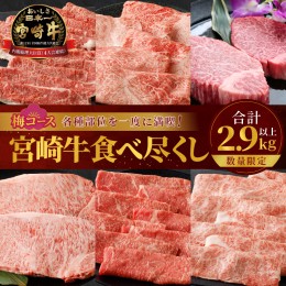 【ふるさと納税】≪数量限定≫宮崎牛食べ尽くし(梅コース)合計2.9kg以上 肉 牛 牛肉 おかず 国産_T030-018