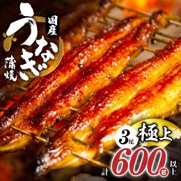 【ふるさと納税】うなぎ蒲焼特大3尾(さんしょう・たれ付き)計600g以上 鰻 魚 魚介 加工品 国産_T026-002