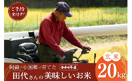 【ふるさと納税】【予約米】令和6年産・新米 田代さんの美味しいお米（玄米20kg）