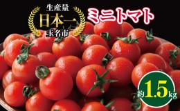 【ふるさと納税】ミニトマト 生産量 日本一 玉名市 !！ ミニトマト 約 1.5kg 野菜 トマト プチトマト