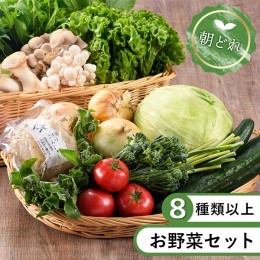 【ふるさと納税】安心安全！本日のお野菜詰め合わせ【8種類以上】（53-36）