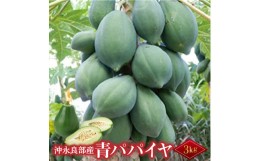 【ふるさと納税】酵素たっぷり「青パパイヤ」3kg