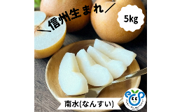 【ふるさと納税】HF05-24A 【信州松川町産】南水 約5kg ／10月上旬頃から発送予定 // 長野県 南信州  減農薬栽培 梨 和梨