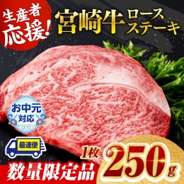 【ふるさと納税】《数量限定》宮崎牛ロースステーキ 1枚 (250g)【 生産者応援 肉 牛 牛肉 国産 黒毛和牛 ロース ステーキ 】