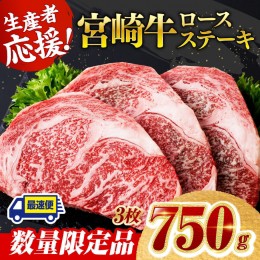 【ふるさと納税】《数量限定》宮崎牛ロースステーキ 3枚 (750g)【 肉 牛 牛肉 国産 黒毛和牛 ロース ステーキ】