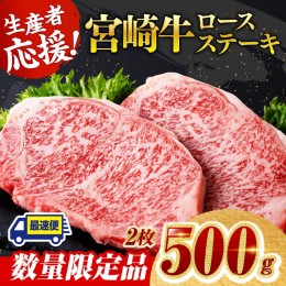 【ふるさと納税】《数量限定》宮崎牛ロースステーキ 2枚 (500g)【 肉 牛 牛肉 国産 黒毛和牛 ロース ステーキ】