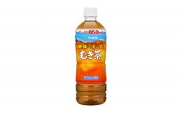 【ふるさと納税】＜毎月定期便＞健康ミネラルむぎ茶650ml　24本　全6回【4012848】