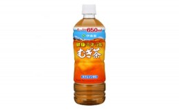 【ふるさと納税】＜毎月定期便＞健康ミネラルむぎ茶650ml　48本　全6回【4012849】