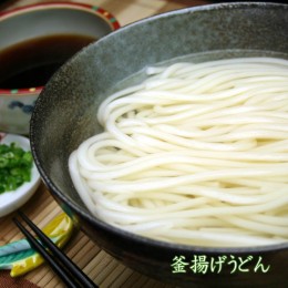 【ふるさと納税】ふっくらモチモチ神埼生うどん 10袋入 【麺 うどん 生うどん 釜揚げうどん】(H014125)