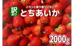 【ふるさと納税】[訳あり] ごろっと盛り盛りいちご『とちあいか』2000g｜いちご 苺 フルーツ 果物 スイーツ 産地直送 [0539]