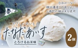 【ふるさと納税】たなだあいす 2個 かみかつ棚田未来づくり協議会 《30日以内に出荷予定(土日祝除く)》 徳島県 上勝町 ふるさと納税