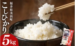 【ふるさと納税】【先行予約】【令和6年産・新米】米 コシヒカリ 5kg × 1袋 精米 福井県美浜町産【2024年9月下旬発送予定】 [m60-a012_0