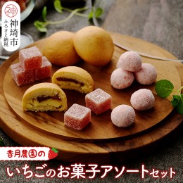 【ふるさと納税】いちごのお菓子アソートセット 【佐賀県産 クリームチーズ 粒ジャム ドライ パウダー 焼菓子】(H017111)